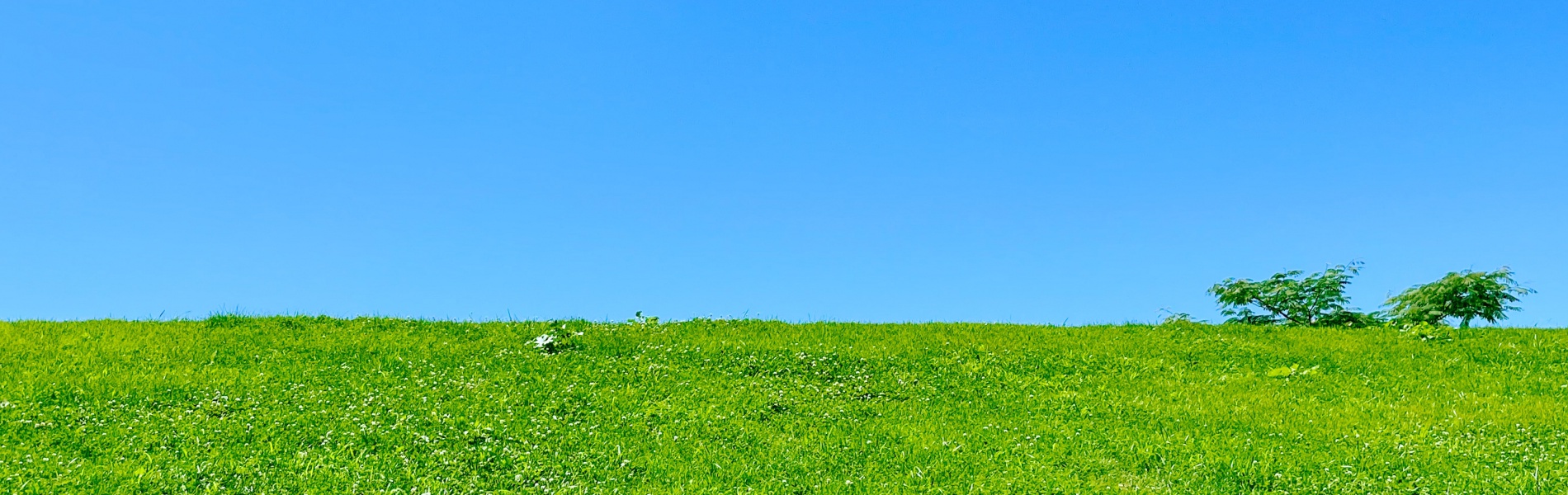 医療法人　啓友会